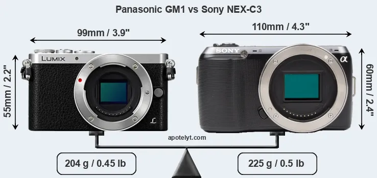 Size Panasonic GM1 vs Sony NEX-C3