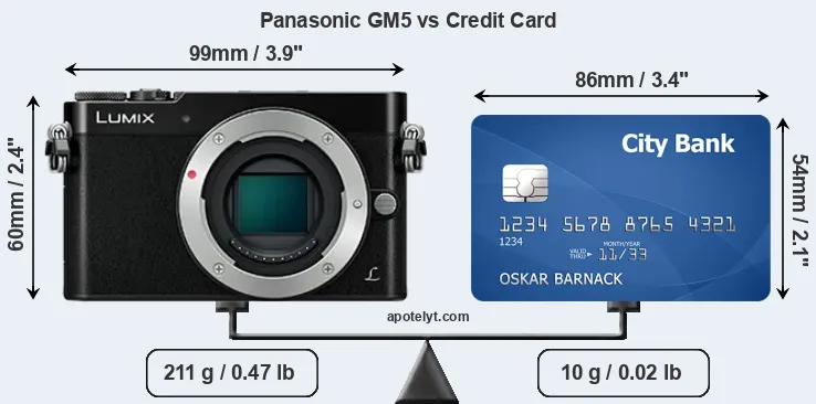 Panasonic GM5 vs credit card front