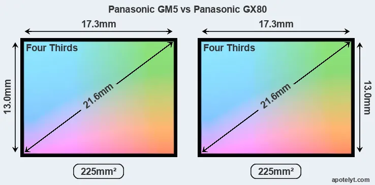 Panasonic GM5 and Panasonic GX80 sensor measures