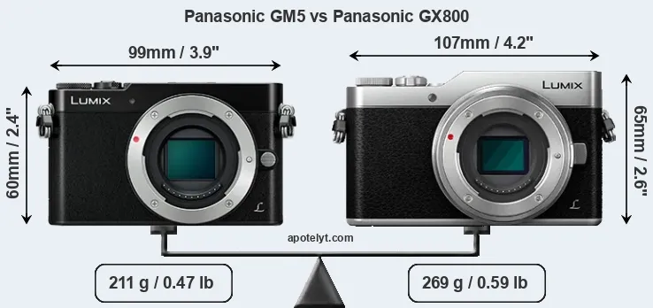 Size Panasonic GM5 vs Panasonic GX800