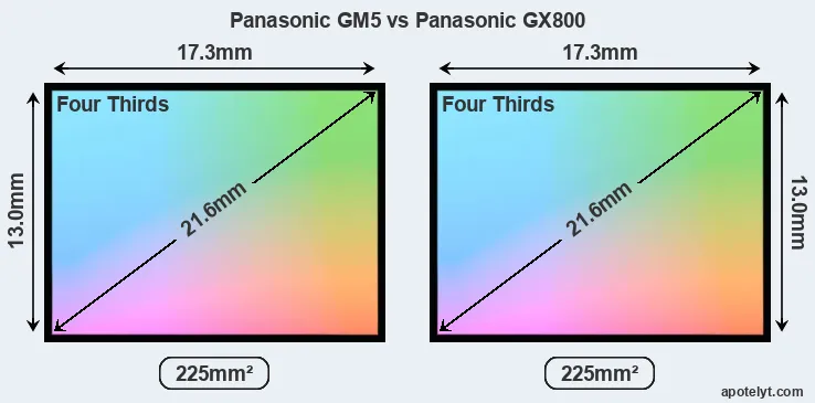 Panasonic GM5 and Panasonic GX800 sensor measures