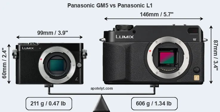 Size Panasonic GM5 vs Panasonic L1