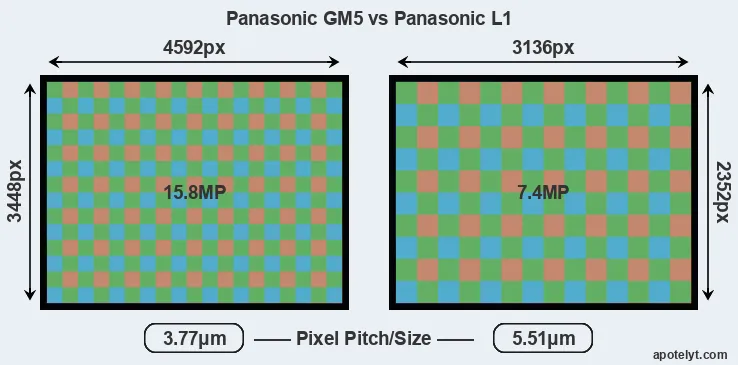 GM5 versus L1 MP