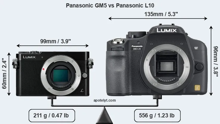Size Panasonic GM5 vs Panasonic L10