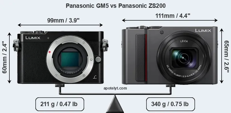 Size Panasonic GM5 vs Panasonic ZS200