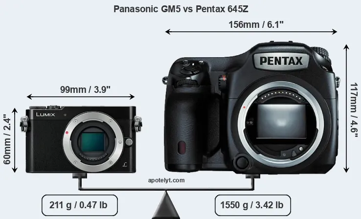Size Panasonic GM5 vs Pentax 645Z