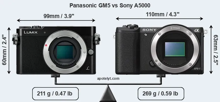Size Panasonic GM5 vs Sony A5000