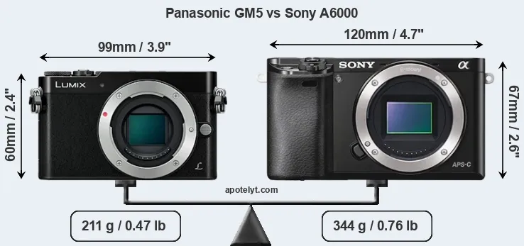 Size Panasonic GM5 vs Sony A6000