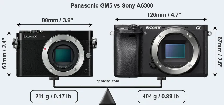 Size Panasonic GM5 vs Sony A6300