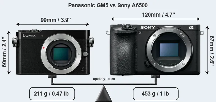 Size Panasonic GM5 vs Sony A6500