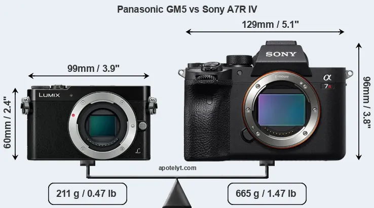 Size Panasonic GM5 vs Sony A7R IV