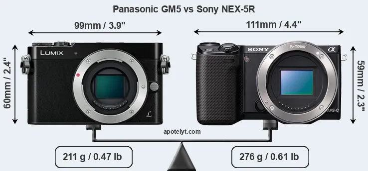Size Panasonic GM5 vs Sony NEX-5R
