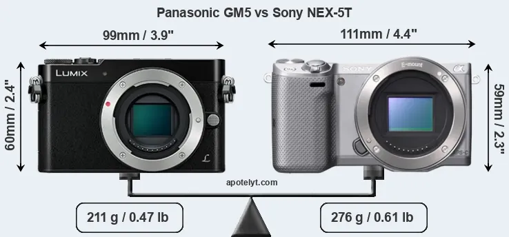 Size Panasonic GM5 vs Sony NEX-5T