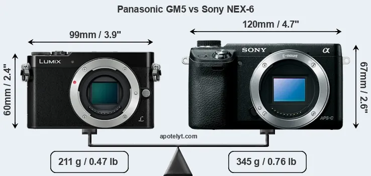 Size Panasonic GM5 vs Sony NEX-6