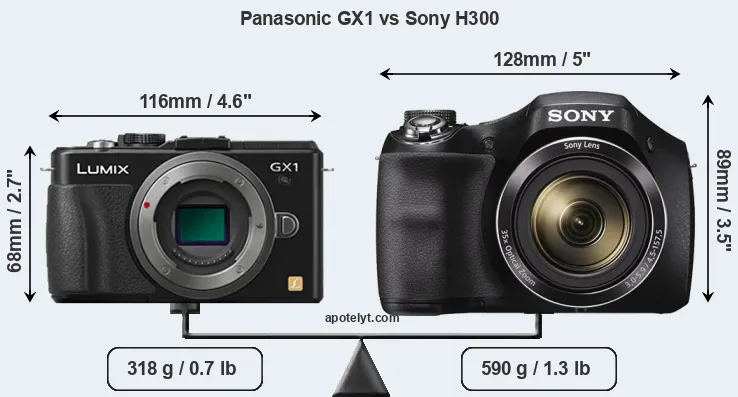 Size Panasonic GX1 vs Sony H300