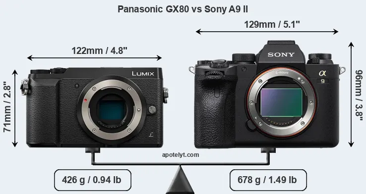 Size Panasonic GX80 vs Sony A9 II