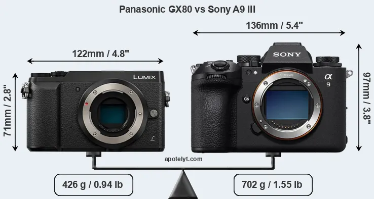 Size Panasonic GX80 vs Sony A9 III