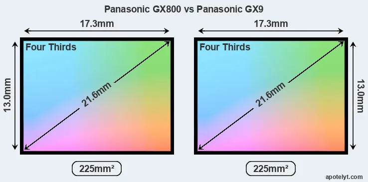 Panasonic GX800 and Panasonic GX9 sensor measures