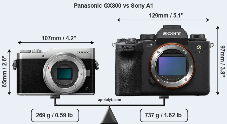 Size Panasonic GX800 vs Sony A1