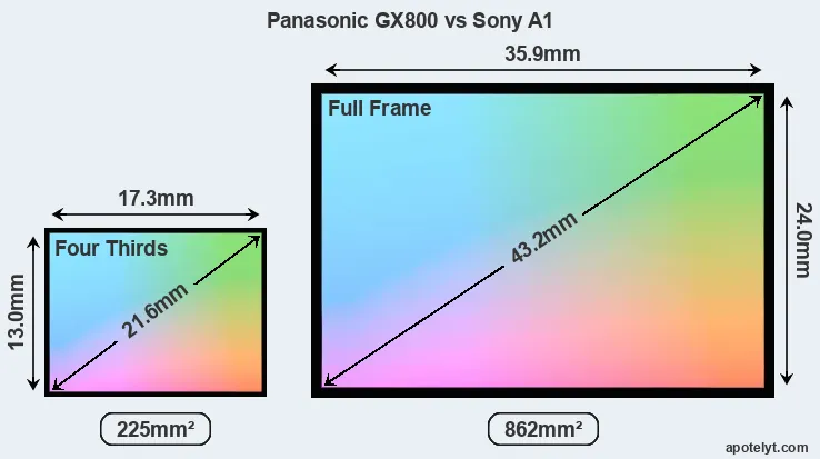 Panasonic GX800 and Sony A1 sensor measures