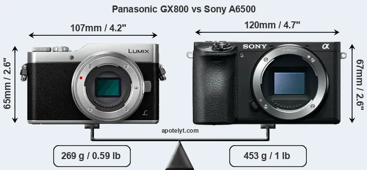 Size Panasonic GX800 vs Sony A6500