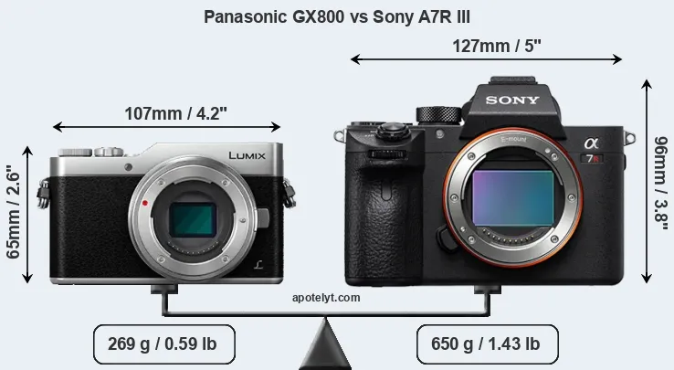 Size Panasonic GX800 vs Sony A7R III