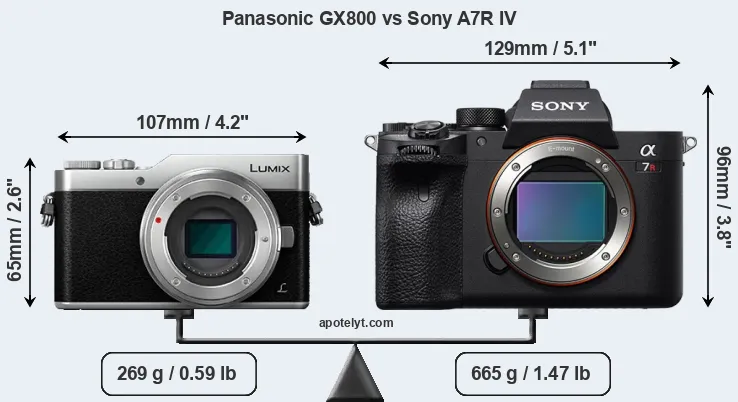 Size Panasonic GX800 vs Sony A7R IV