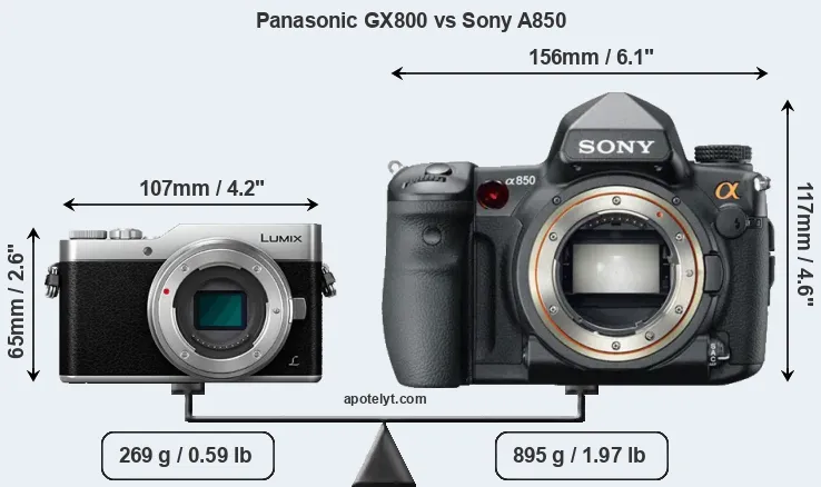 Size Panasonic GX800 vs Sony A850