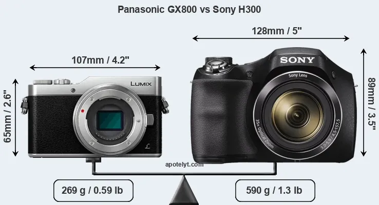 Size Panasonic GX800 vs Sony H300