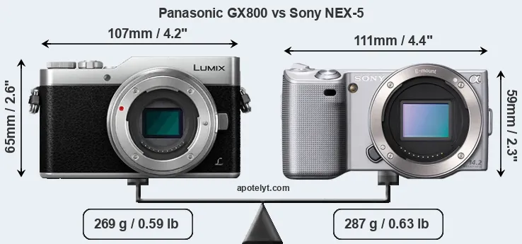 Size Panasonic GX800 vs Sony NEX-5