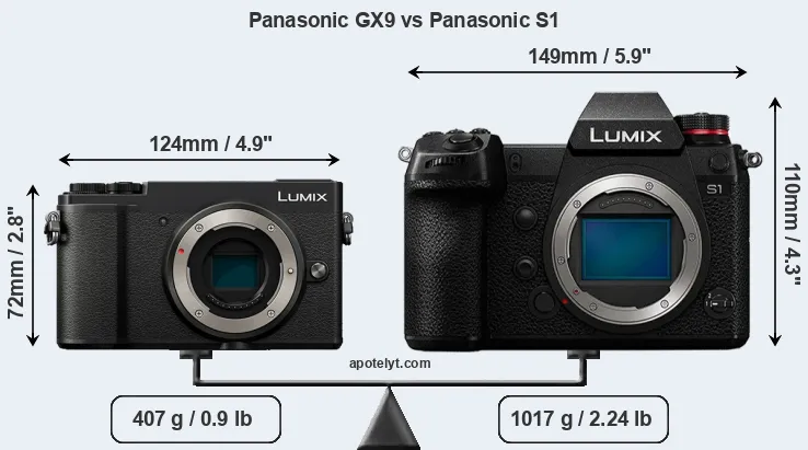 Size Panasonic GX9 vs Panasonic S1