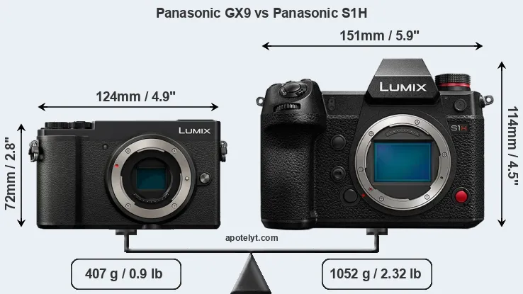 Size Panasonic GX9 vs Panasonic S1H