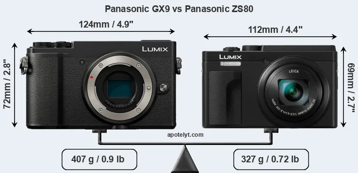 Size Panasonic GX9 vs Panasonic ZS80