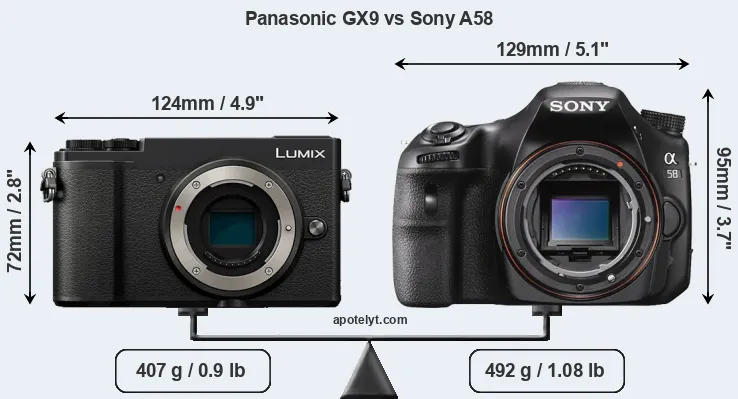 Size Panasonic GX9 vs Sony A58