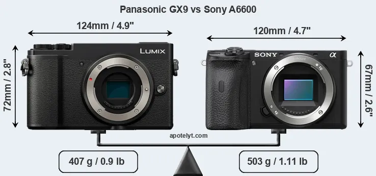 Size Panasonic GX9 vs Sony A6600