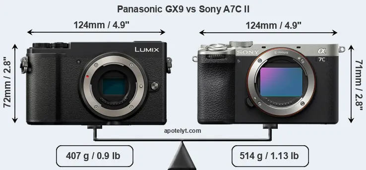 Size Panasonic GX9 vs Sony A7C II