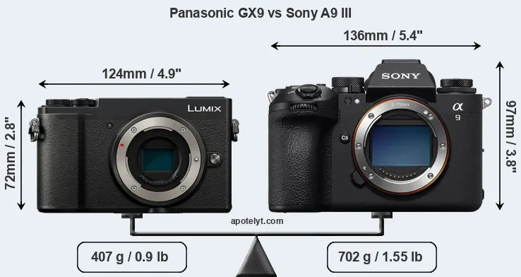 Size Panasonic GX9 vs Sony A9 III