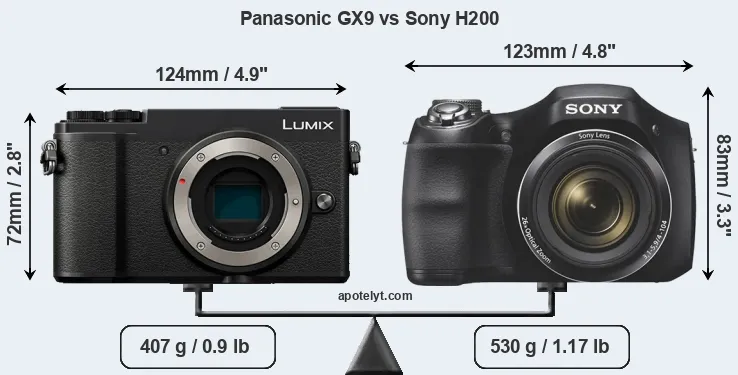 Size Panasonic GX9 vs Sony H200