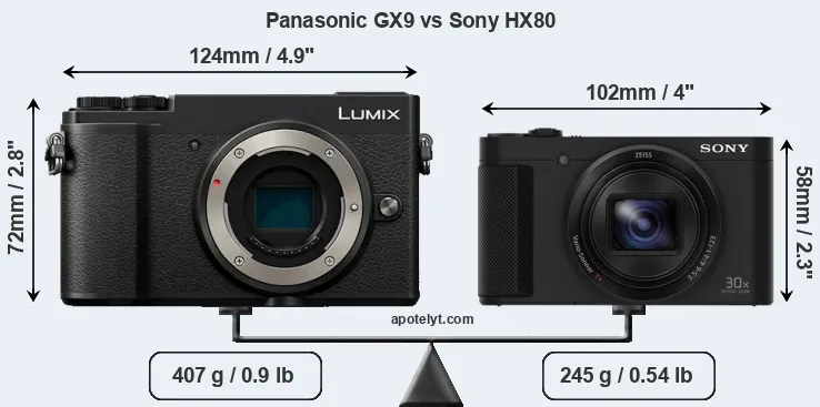 Size Panasonic GX9 vs Sony HX80