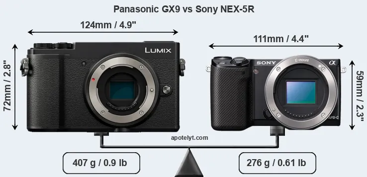 Size Panasonic GX9 vs Sony NEX-5R