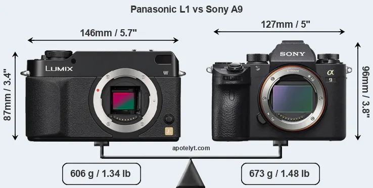 Size Panasonic L1 vs Sony A9
