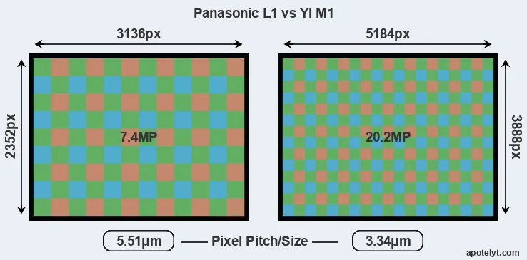 L1 versus M1 MP