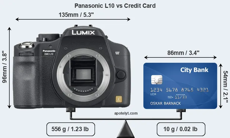 Panasonic L10 vs credit card front
