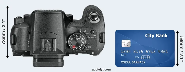 L10 versus credit card top view