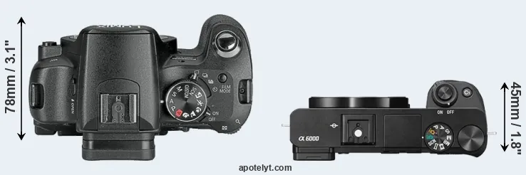 Compare L10 versus A6000 top