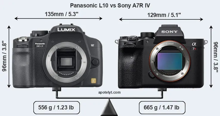 Size Panasonic L10 vs Sony A7R IV
