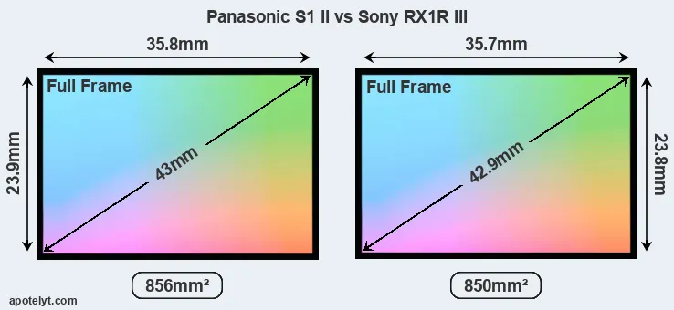 Panasonic S1 II and Sony RX1R III sensor measures
