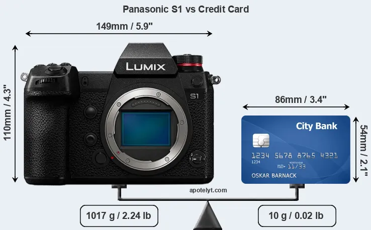 Panasonic S1 vs credit card front