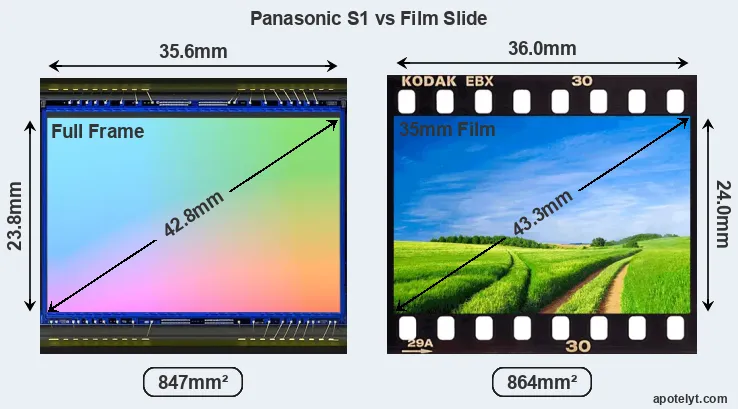 Panasonic S1 and Credit Card sensor measures