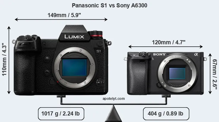 Size Panasonic S1 vs Sony A6300